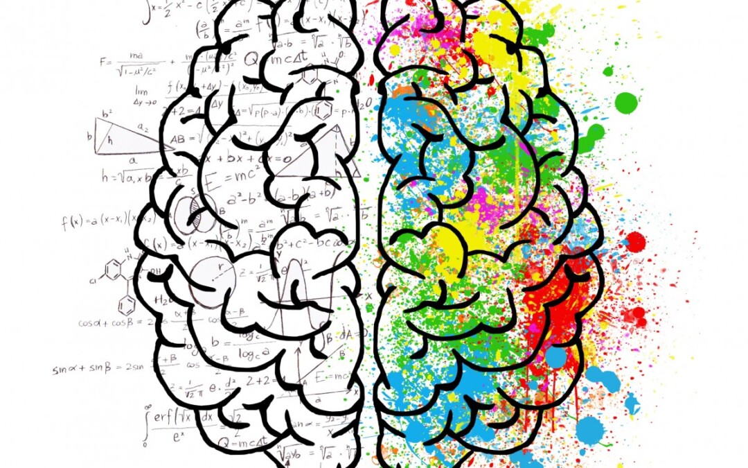 Illustration stylisée d’un cerveau divisé en deux hémisphères : la partie gauche, en noir et blanc, remplie de formules mathématiques, symbolise l’analyse, la logique et la rationalité ; la partie droite, éclaboussée de couleurs vives, évoque la créativité, l’émotion et l’intuition. Cette image illustre la tension entre pensée rationnelle et émotionnelle, souvent au cœur de tout conflit en entreprise, et souligne l’importance de mobiliser ces deux dimensions pour favoriser des solutions équilibrées et innovantes.