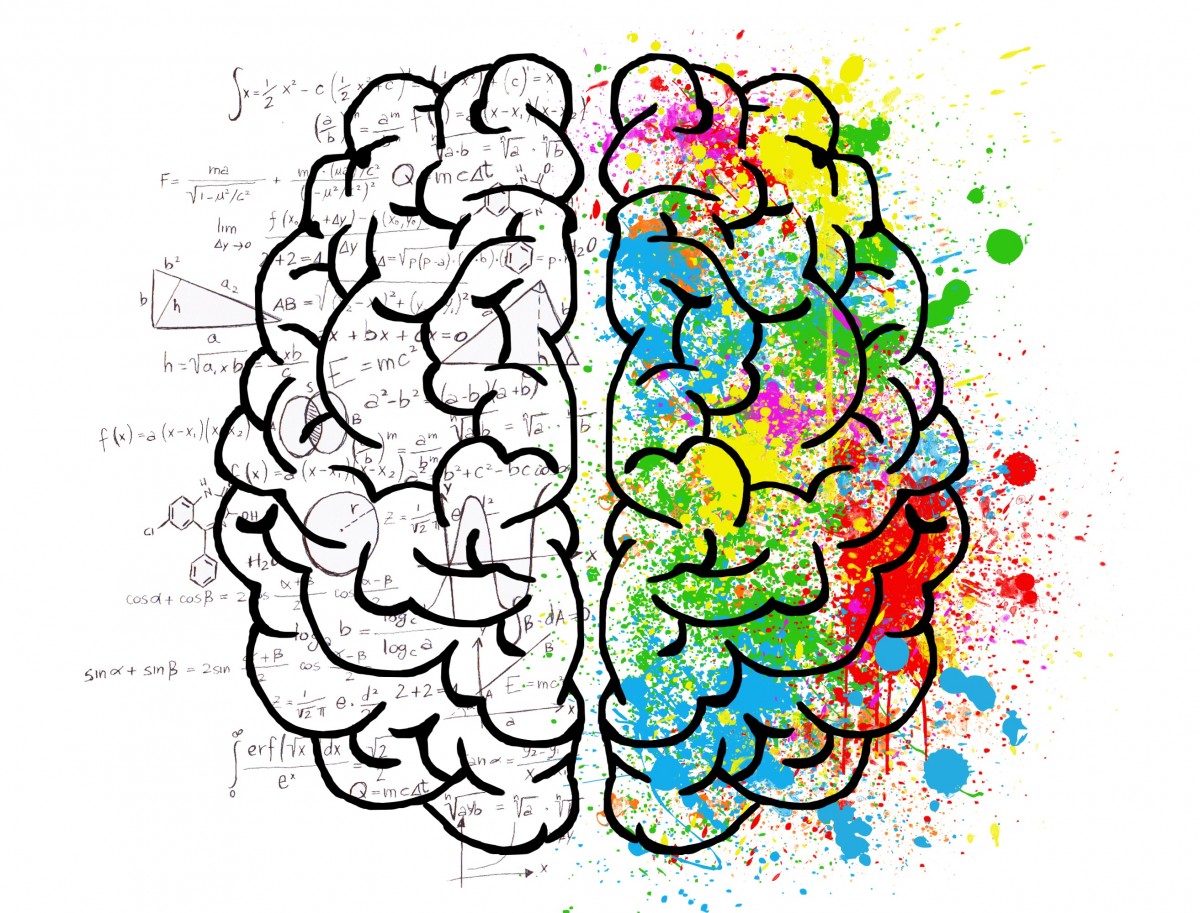 Illustration stylisée d’un cerveau divisé en deux hémisphères : la partie gauche, en noir et blanc, remplie de formules mathématiques, symbolise l’analyse, la logique et la rationalité ; la partie droite, éclaboussée de couleurs vives, évoque la créativité, l’émotion et l’intuition. Cette image illustre la tension entre pensée rationnelle et émotionnelle, souvent au cœur de tout conflit en entreprise, et souligne l’importance de mobiliser ces deux dimensions pour favoriser des solutions équilibrées et innovantes.